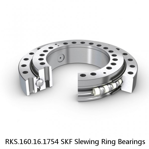 RKS.160.16.1754 SKF Slewing Ring Bearings