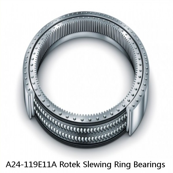 A24-119E11A Rotek Slewing Ring Bearings