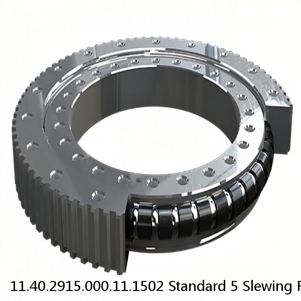 11.40.2915.000.11.1502 Standard 5 Slewing Ring Bearings