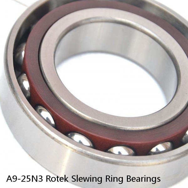 A9-25N3 Rotek Slewing Ring Bearings #1 image