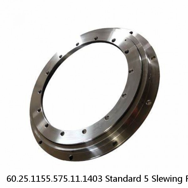 60.25.1155.575.11.1403 Standard 5 Slewing Ring Bearings #1 image