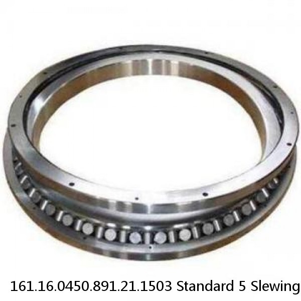 161.16.0450.891.21.1503 Standard 5 Slewing Ring Bearings #1 image