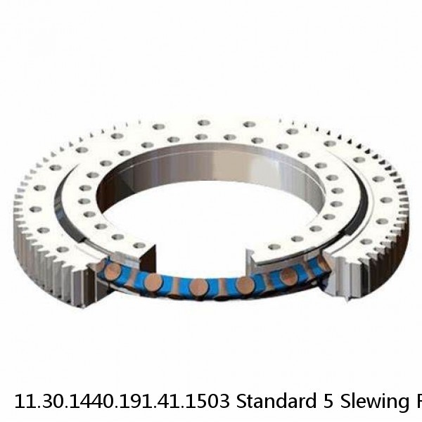 11.30.1440.191.41.1503 Standard 5 Slewing Ring Bearings #1 image