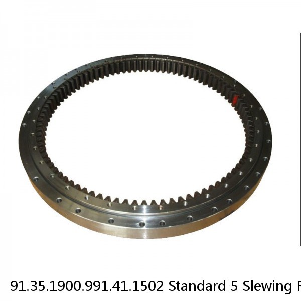 91.35.1900.991.41.1502 Standard 5 Slewing Ring Bearings #1 image