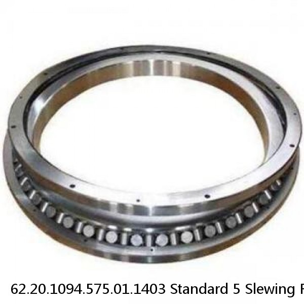 62.20.1094.575.01.1403 Standard 5 Slewing Ring Bearings #1 image