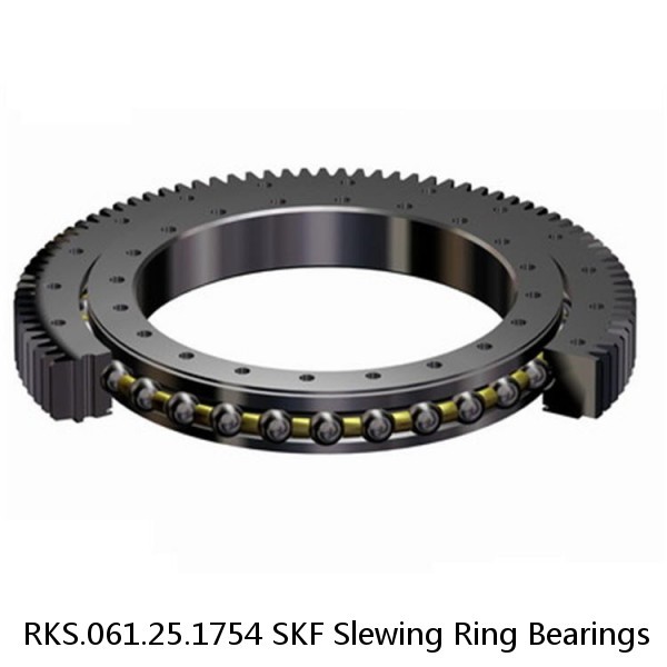 RKS.061.25.1754 SKF Slewing Ring Bearings #1 image