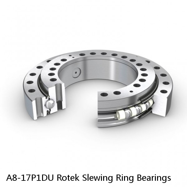 A8-17P1DU Rotek Slewing Ring Bearings #1 image