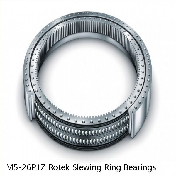 M5-26P1Z Rotek Slewing Ring Bearings #1 image