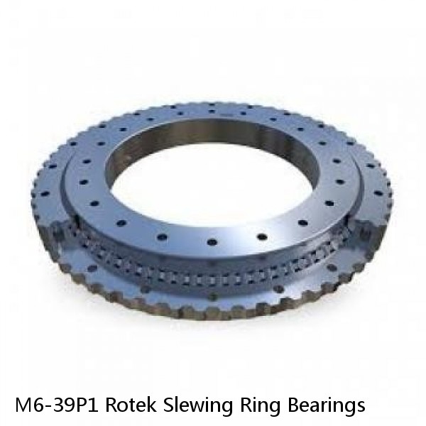 M6-39P1 Rotek Slewing Ring Bearings #1 image