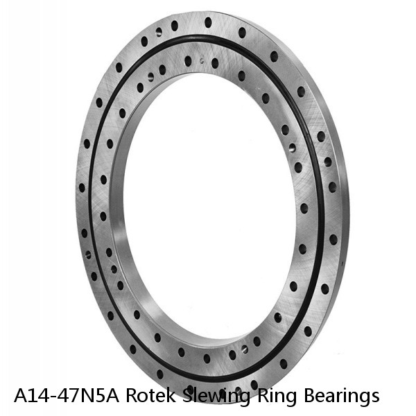 A14-47N5A Rotek Slewing Ring Bearings #1 image