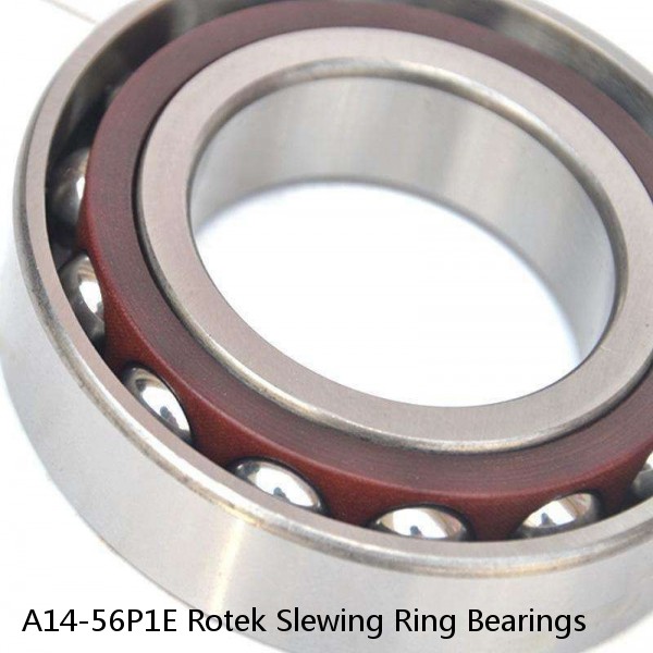 A14-56P1E Rotek Slewing Ring Bearings #1 image