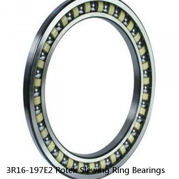 3R16-197E2 Rotek Slewing Ring Bearings #1 image