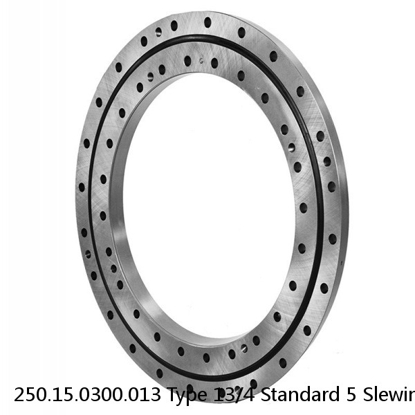 250.15.0300.013 Type 13/4 Standard 5 Slewing Ring Bearings #1 image