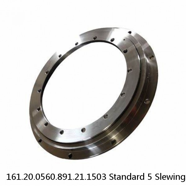 161.20.0560.891.21.1503 Standard 5 Slewing Ring Bearings #1 image