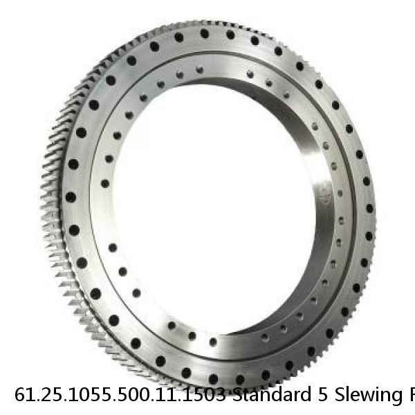 61.25.1055.500.11.1503 Standard 5 Slewing Ring Bearings #1 image