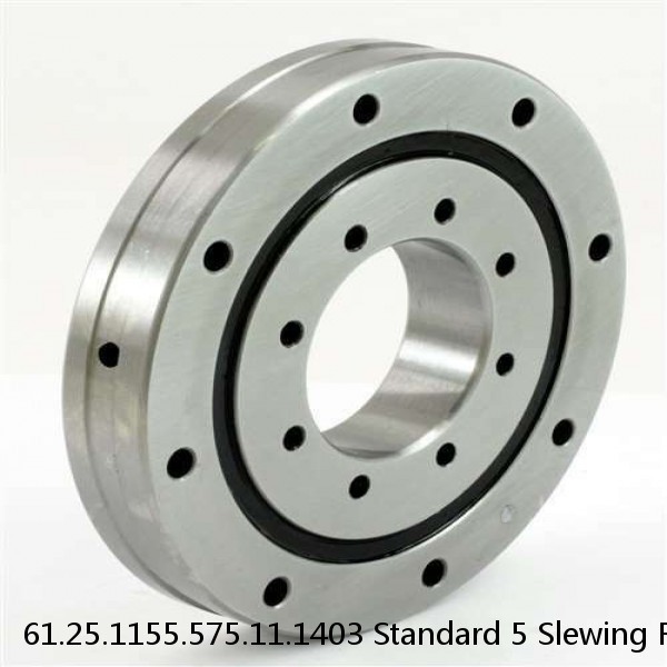 61.25.1155.575.11.1403 Standard 5 Slewing Ring Bearings #1 image