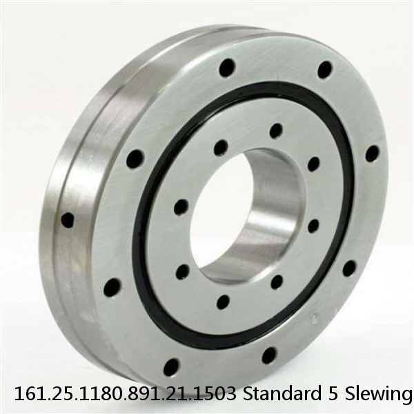 161.25.1180.891.21.1503 Standard 5 Slewing Ring Bearings #1 image