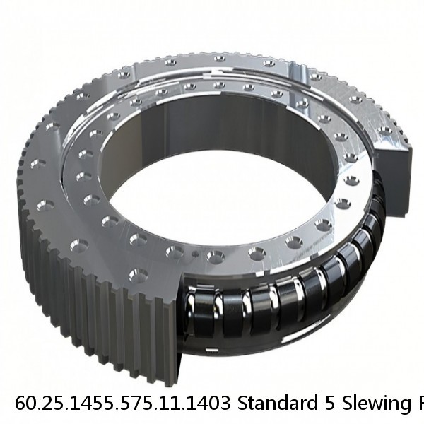 60.25.1455.575.11.1403 Standard 5 Slewing Ring Bearings #1 image