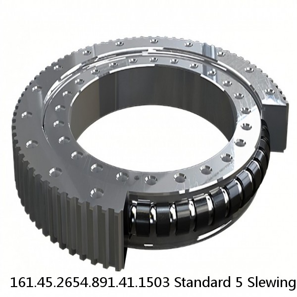 161.45.2654.891.41.1503 Standard 5 Slewing Ring Bearings #1 image