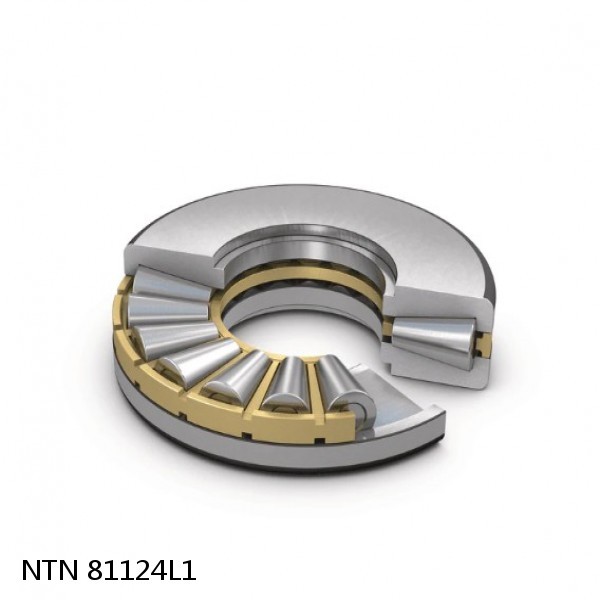 81124L1 NTN Thrust Spherical Roller Bearing #1 image